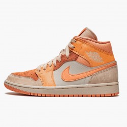 Women/Men Air Jordan 1 Mid Apricot Orange Apricot Agate Terra Blush DH4270-800 Jordan Shoes