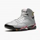 Men Air Jordan 7 Retro Reflections of A Champion BV6281-006 Jordan Shoes