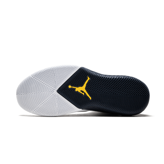 Air Jordan 31 Why Not Zero.1 Michigan PE