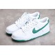 Nike SB Dunk Low Green Noise White --DD1503-112 Casual Shoes Unisex