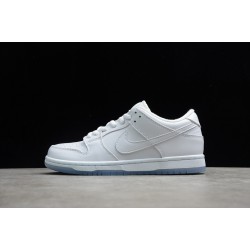 Nike SB Dunk Low White Ice --304292-100 Casual Shoes Unisex